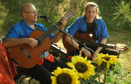 Gitaristen tijdens een live buitenoptreden