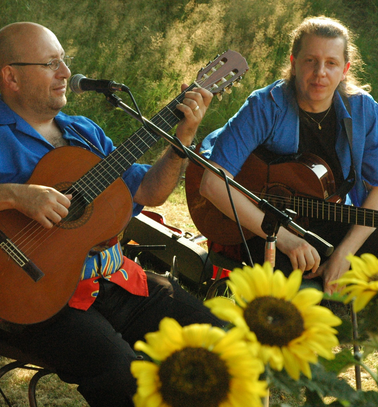 Gitaristen tijdens een live buitenoptreden